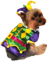 a mardi gras/carnaval dog